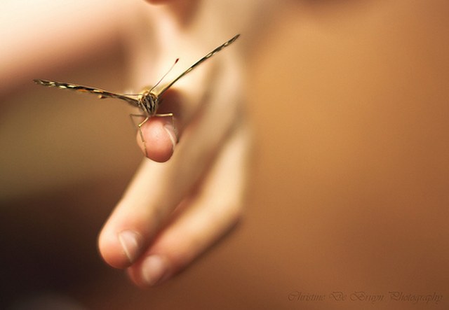 电话轰在线轰炸